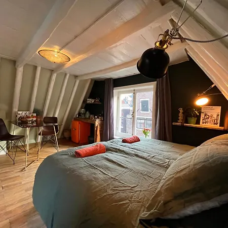 Attic Monkeys Bed & Breakfast