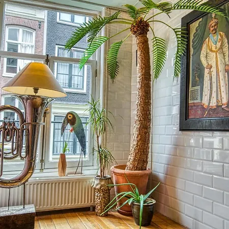 Attic Monkeys Amsterdam