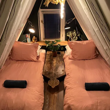 Attic Monkeys 3* אמסטרדם