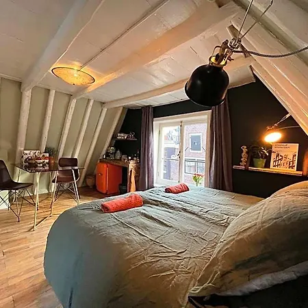 Guest house Attic Monkeys 3*