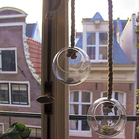 Attic Monkeys Guest house Amsterdam