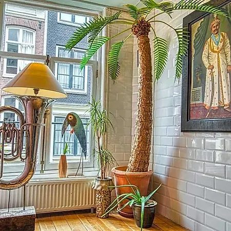 Attic Monkeys Guest house Amsterdam