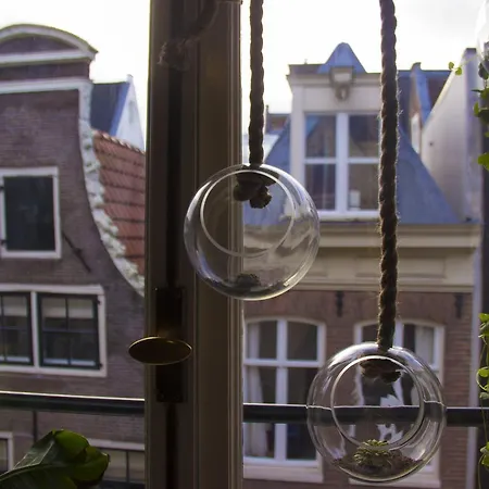 בית הארחה Attic Monkeys 3*