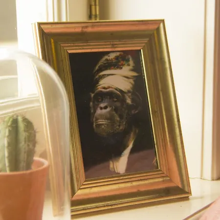 בית הארחה Attic Monkeys אמסטרדם