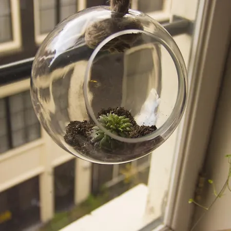 בית הארחה Attic Monkeys אמסטרדם