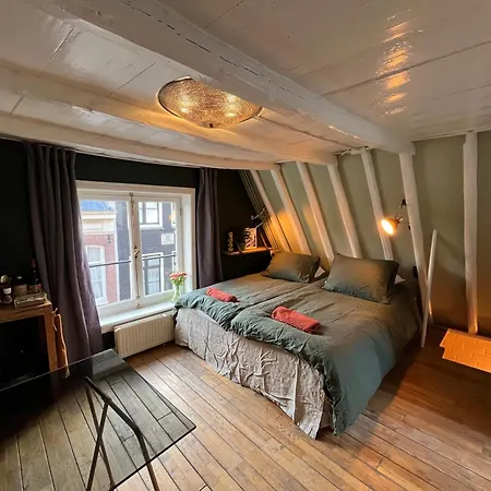 Attic Monkeys Penzion Amsterdam